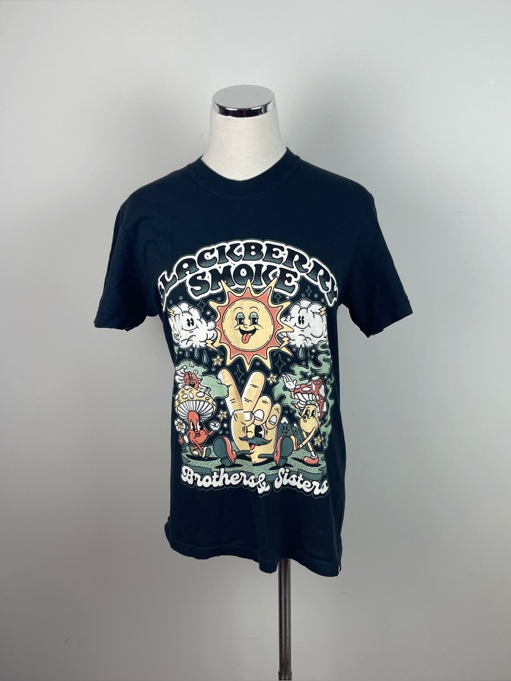 Blackberry Smoke Comfort Colors Brothers & Sisters Black Music Band Tee Shirt